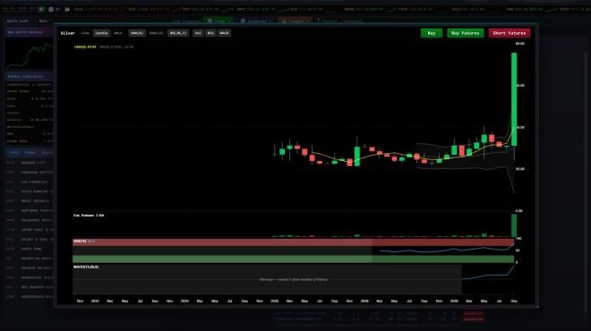 Wall Street Raider Torrent Download