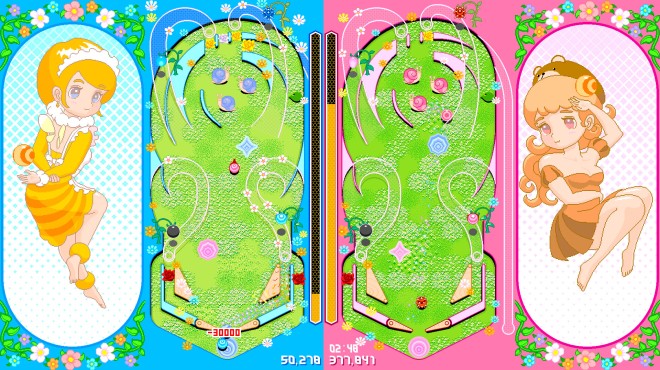 PinballGarden PC Crack