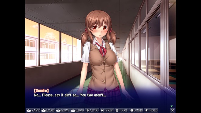 Sumire's Secret Torrent Download