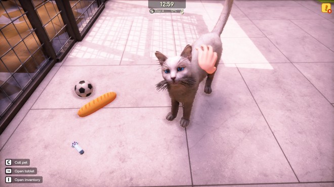 Animal Shelter 2 Anniversary PC Crack