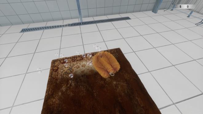 Carpet Cleaning Simulator Torrent Download