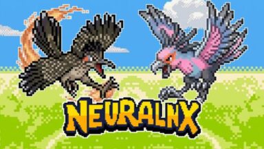 Featured Neuralnx Free Download
