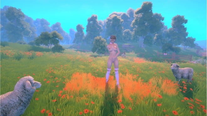 Rise of a Porn Star 2: Life on Top Torrent Download