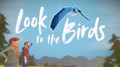 Featured Look to the Birds Free Download