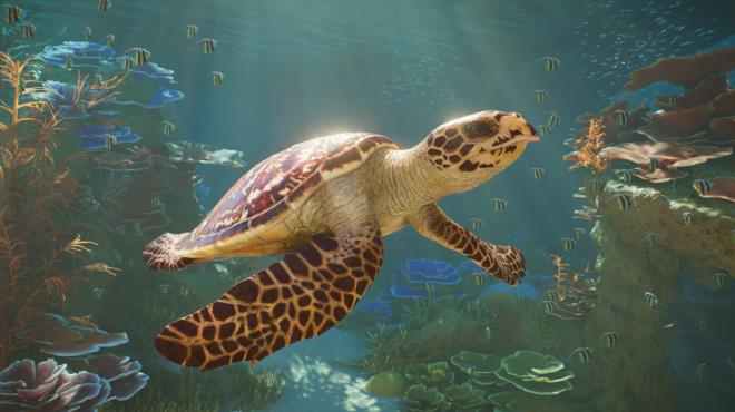 Planet Zoo 2 PC Crack